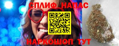 ешки Будённовск